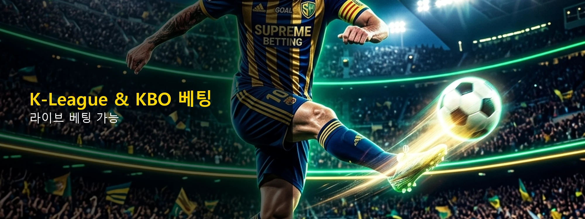 라이브 카지노 배너 5